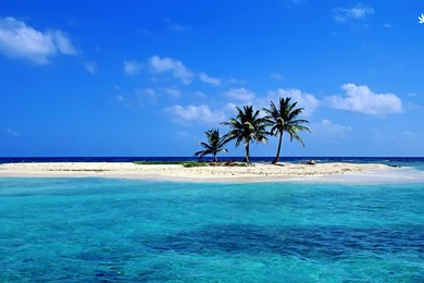 Sandy Beach Wallpaper For Desktop.jpg