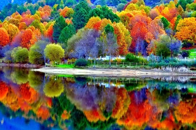 Beautiful Autumn Lake Scenery Wallpapers