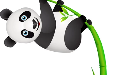 Beautiful Forest Bear Black White Cute Panda Panda Desktop ...