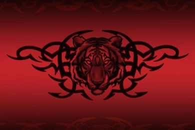 Tribal Wallpapers 25   Best Wallpapers Collection