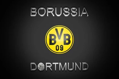 Robert Lewandowski Borussia Dortmund Wallpapers   Http://www ...