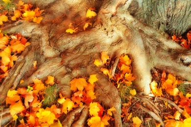 Wallpapers Space Desktop Free 1600x1200