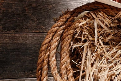 Trending In Fall: Special Iphone 6 Wallpapers For You ♠ From ...