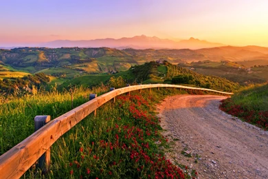 Country Road Wallpapers