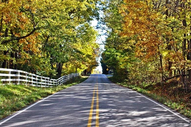 Country Road Wallpapers Mobile   Kemecer.com