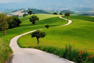 Country Road   1680 X 1050 Widescreen Wallpapers