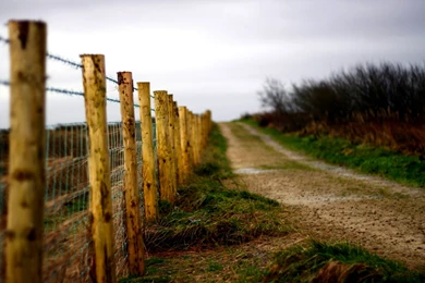 Sunny Day Country Road