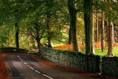 Country Road Up Close Wallpapers 7141 2560 X 1600   WallpaperLayer.com