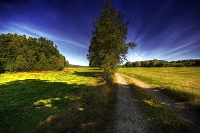 Country Road Wallpapers