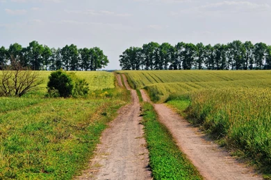 Country Road Wallpapers High Quality   Kemecer.com