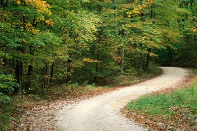 Country Road In Autumn Nashville Indiana Wallpapers By MariJane ...