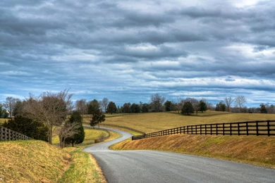 Full HD Pictures Country Road 1441.58 KB