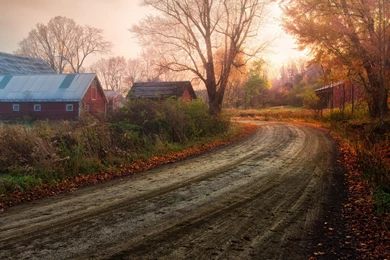 Beautiful Country Road