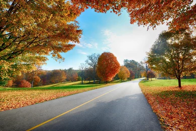 Fall Country Road   Wallpaper.