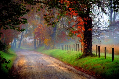 Country Road   (