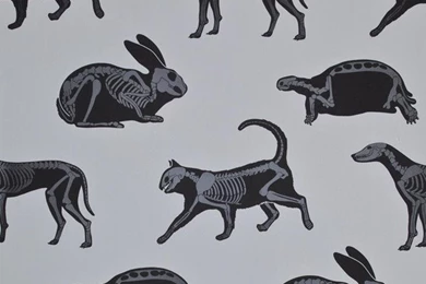 Paper Boy Wallpapers For Children