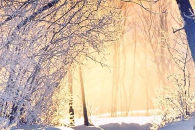 I'm Going To Change My Wallpapers On My Phone Everyday Until The ...