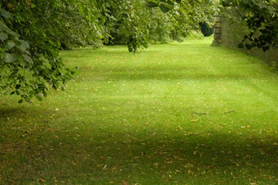 Wallpapers Meme   Suriontwilight