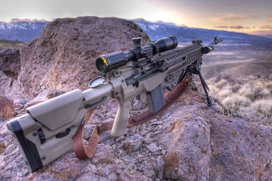 Keyword: Rifle   Wonderful HD Wallpapers   WallpaperLayer.com