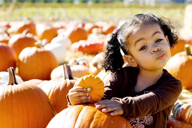 Cool Girl With Pumpkin Wallpapers   2380x1583   1165630