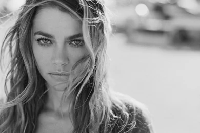Denise Richards. Wallpapers List.