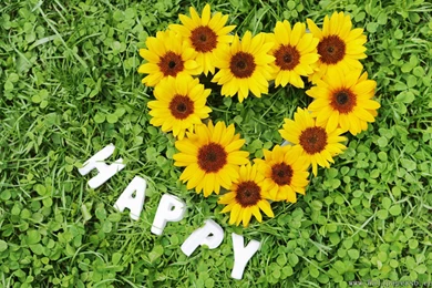 The Flowers For Holidays happy － Holiday Wallpapers   Free ...