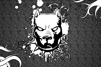 Pitbull Dog Wallpapers   Wallpapers Cave