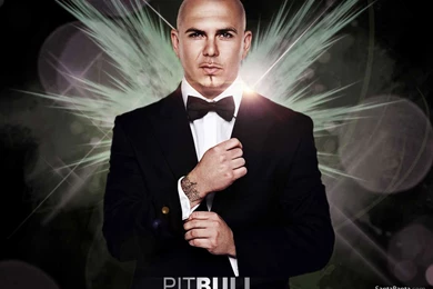 Pitbull Wallpapers
