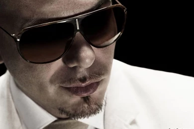 Pitbull Wallpapers