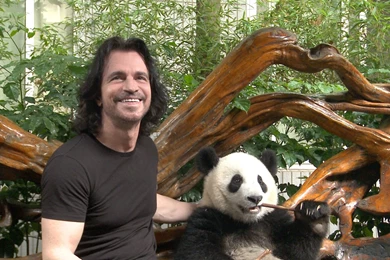 1920x1080 Yanni, Composer, Keyboardist, Pianist, Panda, New Age ...