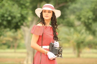 Amy Jackson South Actress Hd Wallpapers