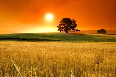 Nice Desktop Backgrounds New HD Wallpapers Desktop Wallpapers ...