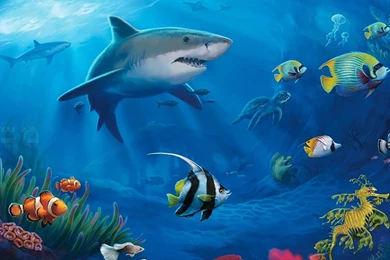 Ocean Live Wallpapers   Android Apps On Google Play