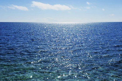 Android Phones Wallpapers: Android Wallpapers Big Sea