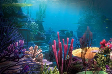 Ocean Live Wallpapers Wallpapers Zone