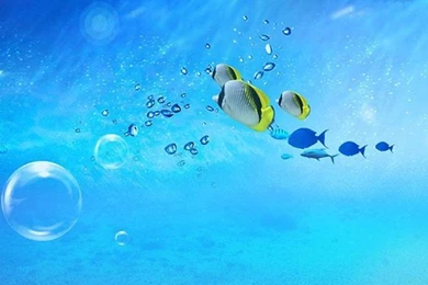 Ocean Live Wallpapers Android Apps And Tests AndroidPIT