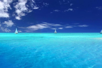 Free Wallpaper][Sea Live], Worth Watching Wallpapers Of Sea View ...