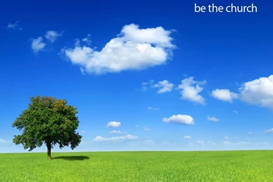 Be The Church   Tree Wallpapers   Christian Wallpapers And Backgrounds