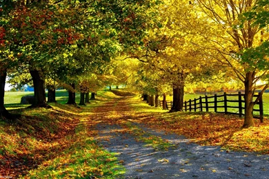 High Resolution Natural Beauty Wallpapers HD Full Size ...