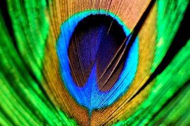 Hd Wallpapers For Mobile Collection (37+)