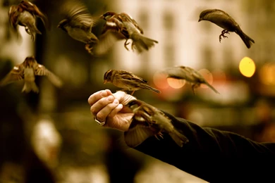 Hd Wallpapers Com Collection (44+)