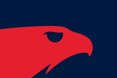 Dribbble   Show And Tell For Designers