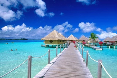 Tropical Desktop Wallpaper Backgrounds Hd