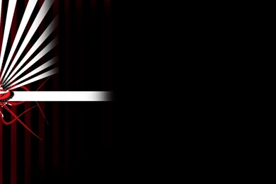 ATLANTA HAWKS Nba Basketball (5) Wallpapers