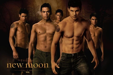 Heidi Montag Fashion: Wallpapers Twilight Jacob