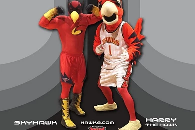 NBA Atlanta Hawks Mascot   Harry The Hawk Wallpapers 12   Wallcoo.net