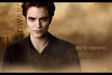 Twilight Jacob Black In The Rain HD Wallpapers