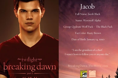 Jacob Promo Card   Harry Potter Vs. Twilight : Desktop And Mobile ...