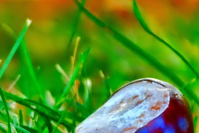 iPhone 6 Wallpapers HD, 100% Quality HD iPhone Wallpapers