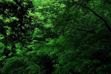 iPhone 6 Wallpapers HD, 100% Quality HD iPhone Wallpapers